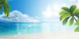 蓝色绿色白色清新简约大海棕榈树叶白云蓝天夏天沙滩展板背景